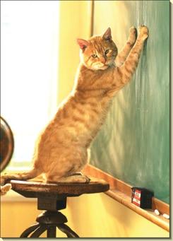 cat-scratching-blackboard-2986-0-1280419112000