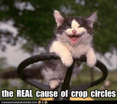 funny-pictures-kitten-causes-crop-circles