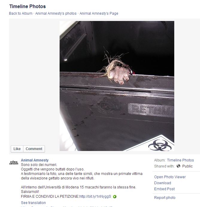 covance-animalamnesty