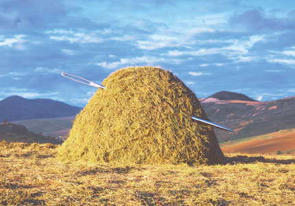 1074014-haystack