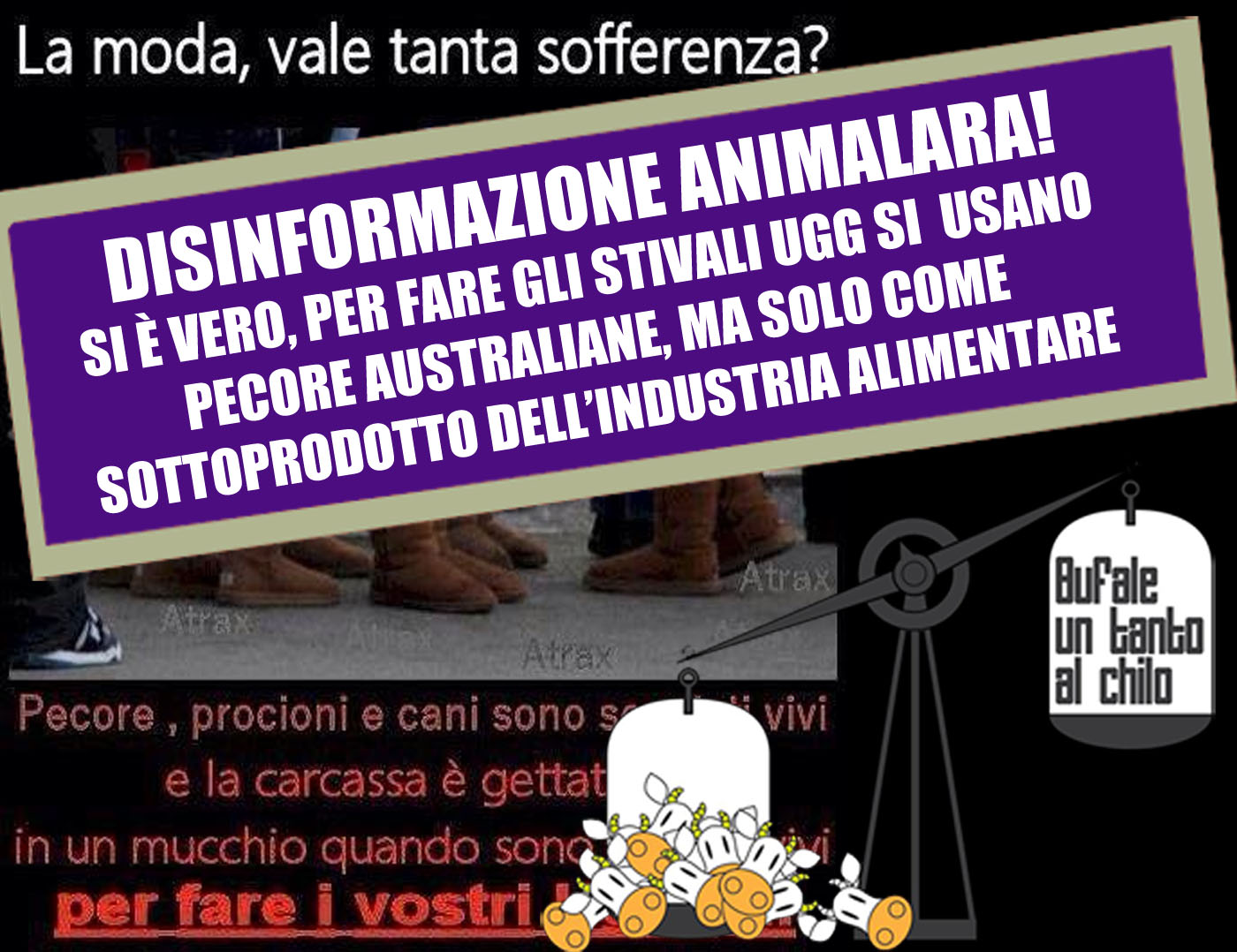 UGG-ANIMALI