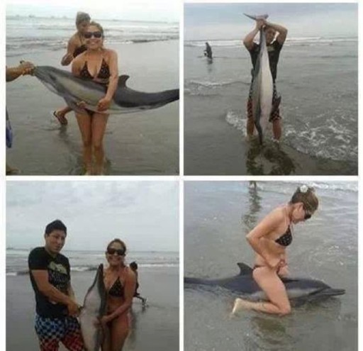 couple-kills-dolphin
