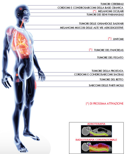 corpo-umano-patologie-trattabili